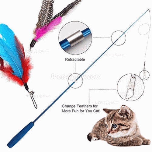 Feather Teaser Cat Toy Retractable Cat Feather Toy Wand with 5 Assorted Teaser